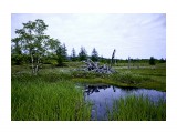 Утро, мыс  Трудный
Фотограф: фотохроник

Просмотров: 316
Комментариев: 0