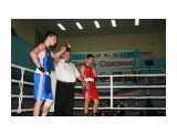 Турнир по боксу Юность Сахалина 2013 -Долинск

Просмотров: 1366
Комментариев: 