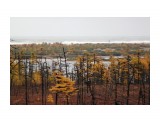 Название: Там вдали Лунский залив
Фотоальбом: 2013 10 10 Горловина Лунского залива..Шторм
Категория: Природа
Фотограф: vikirin

Время съемки/редактирования: 2013:10:22 21:10:30
Фотокамера: Canon - Canon EOS Kiss X3
Диафрагма: f/5.6
Выдержка: 1/1600
Фокусное расстояние: 250/1



Просмотров: 2179
Комментариев: 1