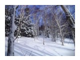 Название: DSC00037
Фотоальбом: 14.01.17 разведка в сторону г.Лысой
Категория: Туризм, путешествия

Время съемки/редактирования: 2016:12:15 12:25:19
Фотокамера: SONY - DSC-W710
Диафрагма: f/9.1
Выдержка: 1/160
Фокусное расстояние: 500/100



Просмотров: 1322
Комментариев: 0