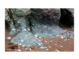 Цветные скалы...
Фотограф: vikirin

Просмотров: 1786
Комментариев: 0