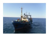 ЗАЛИВ  НАХОДКА.
Фотограф: 7388PetVladVik

Просмотров: 6248
Комментариев: 0