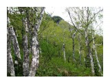 DSCF7603

Просмотров: 1184
Комментариев: 0