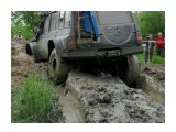 Выбралась.....
Фотограф: vikirin

Просмотров: 4760
Комментариев: 0