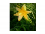 DSCN71

Просмотров: 4248
Комментариев: 0