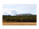 Луч высветил сопку..
Фотограф: vikirin

Просмотров: 2983
Комментариев: 0