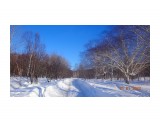 DSC08395

Просмотров: 266
Комментариев: 0
