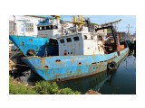 КАПИТАН  УЗЕРИНОВ.
Фотограф: 7388PetVladVik

Просмотров: 4763
Комментариев: 1