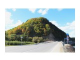 Сопка любви  (село Огоньки) 
Фотограф: 7388PetVladVik

Просмотров: 5777
Комментариев: 2