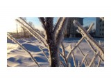 Однажды морозным утром
Фотограф: vikirin

Просмотров: 1391
Комментариев: 0