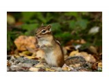 ну что, споем!?
Фотограф: Tsygankov Yuriy

Просмотров: 675
Комментариев: 0