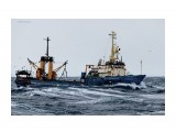 КАПИТАН  РЯБКИН  (бывший СОЛОНЦЫ).
Фотограф: 7388PetVladVik

Просмотров: 5243
Комментариев: 0