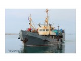 ОЛЬХОВАТКА.   (IMO  7421198,  MMSI  273828000,  CS  UGJJ).  Порт  Невельск.
Фотограф: 7388PetVladVik

Просмотров: 3218
Комментариев: 0