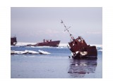 утро, море, чайки.
Фотограф: Фотохроник

Просмотров: 874
Комментариев: 2