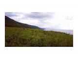 qGPvnSQpT4A

Просмотров: 767
Комментариев: 0
