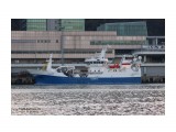 ЛЕНИНЕЦ.    (IMO 9823912,  MMSI  273411740,  GS UBFO4).  Порт  Пусан.
Фотограф: 7388PetVladVik

Просмотров: 2897
Комментариев: 0