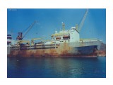 ПЁТР  ЖИТНИКОВ.  (2004г, порт Славянка).
Фотограф: 7388PetVladVik

Просмотров: 5413
Комментариев: 0