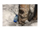 Березовый сок....
Фотограф: vikirin

Просмотров: 2143
Комментариев: 0
