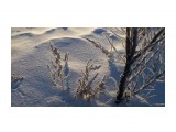 Однажды морозным утром
Фотограф: vikirin

Просмотров: 1693
Комментариев: 0