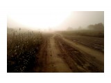 утро дорога
Фотограф: фотохроник

Просмотров: 2823
Комментариев: 0