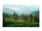 На Ландыш
Фотограф: Mikhaylovich

Просмотров: 1372
Комментариев: 0