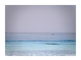 Море голубое - нерест сельди. На горизонте касатки и сивучи.

Просмотров: 379
Комментариев: 0