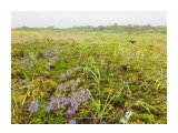 42A7D0F8-B1F2-44B7-A1AB-170BB4DD637E

Просмотров: 672
Комментариев: 0