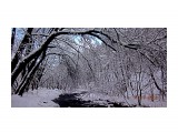 DSC05406

Просмотров: 188
Комментариев: 0