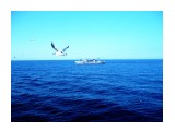 Морские дали  
Фотограф: 7388PetVladVik

Просмотров: 6189
Комментариев: 0