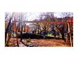 Сквер Пограничников.

Просмотров: 216
Комментариев: 0