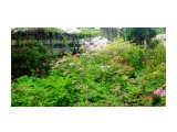 DSC09811