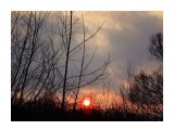 DSC09385