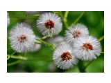 Название: Марина Жилина_1
Фотоальбом: Марина Жилина
Категория: Пейзаж

Время съемки/редактирования: 2008:01:14 13:54:42
Фотокамера: NIKON CORPORATION - NIKON D90
Диафрагма: f/6.3
Выдержка: 10/6400
Фокусное расстояние: 1050/10
Светочуствительность: 200


Просмотров: 3075
Комментариев: 0