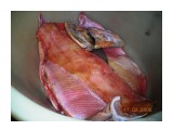 Рыбка соленая...
Фотограф: vikirin

Просмотров: 1020
Комментариев: 0