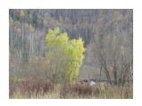 Краски осени

Просмотров: 1227
Комментариев: 0