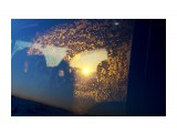Солнце встает
Фотограф: vikirin

Просмотров: 1525
Комментариев: 0