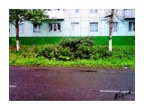 г.поронайск
Фотограф: alexei1903

Просмотров: 1685
Комментариев: 0
