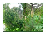 MyCollages-1

Просмотров: 110
Комментариев: 0