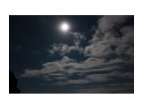 Ночь..Ветер гнал облачка, мимо луны...

Просмотров: 2672
Комментариев: 0