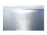 Серебро морское... ну очень красиво.. 
Фотограф: vikirin

Просмотров: 2933
Комментариев: 0