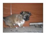 SAM_3858

Просмотров: 745
Комментариев: 