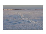 Эх..дороги.. мотособаки мотаются..
Фотограф: vikirin

Просмотров: 1086
Комментариев: 0