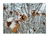 DSCN0026
Фотограф: Меркулова Ольга

Просмотров: 1702
Комментариев: 0