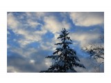 IMG_4073

Просмотров: 1717
Комментариев: 