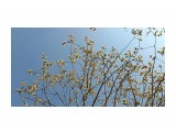Первые весенние...
Фотограф: vikirin

Просмотров: 1570
Комментариев: 0
