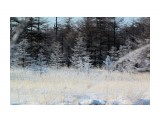 Название: IMG_6296
Фотоальбом: Даги зимние
Категория: Природа
Фотограф: vikirin

Время съемки/редактирования: 2019:03:10 10:10:49
Фотокамера: Canon - Canon EOS Kiss X3
Диафрагма: f/10.0
Выдержка: 1/1000
Фокусное расстояние: 250/1



Просмотров: 1068
Комментариев: 0