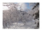 DSCN0202
Фотограф: Меркулова Ольга

Просмотров: 1959
Комментариев: 0