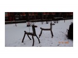 DSC05923
Олешки в городе.

Просмотров: 197
Комментариев: 0