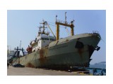 НЕВСКАЯ  ДУБРОВКА.  
Фотограф: 7388PetVladVik

Просмотров: 6695
Комментариев: 0