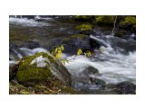фотохроник_64
Фотограф: фотохроник

Просмотров: 1558
Комментариев: 0